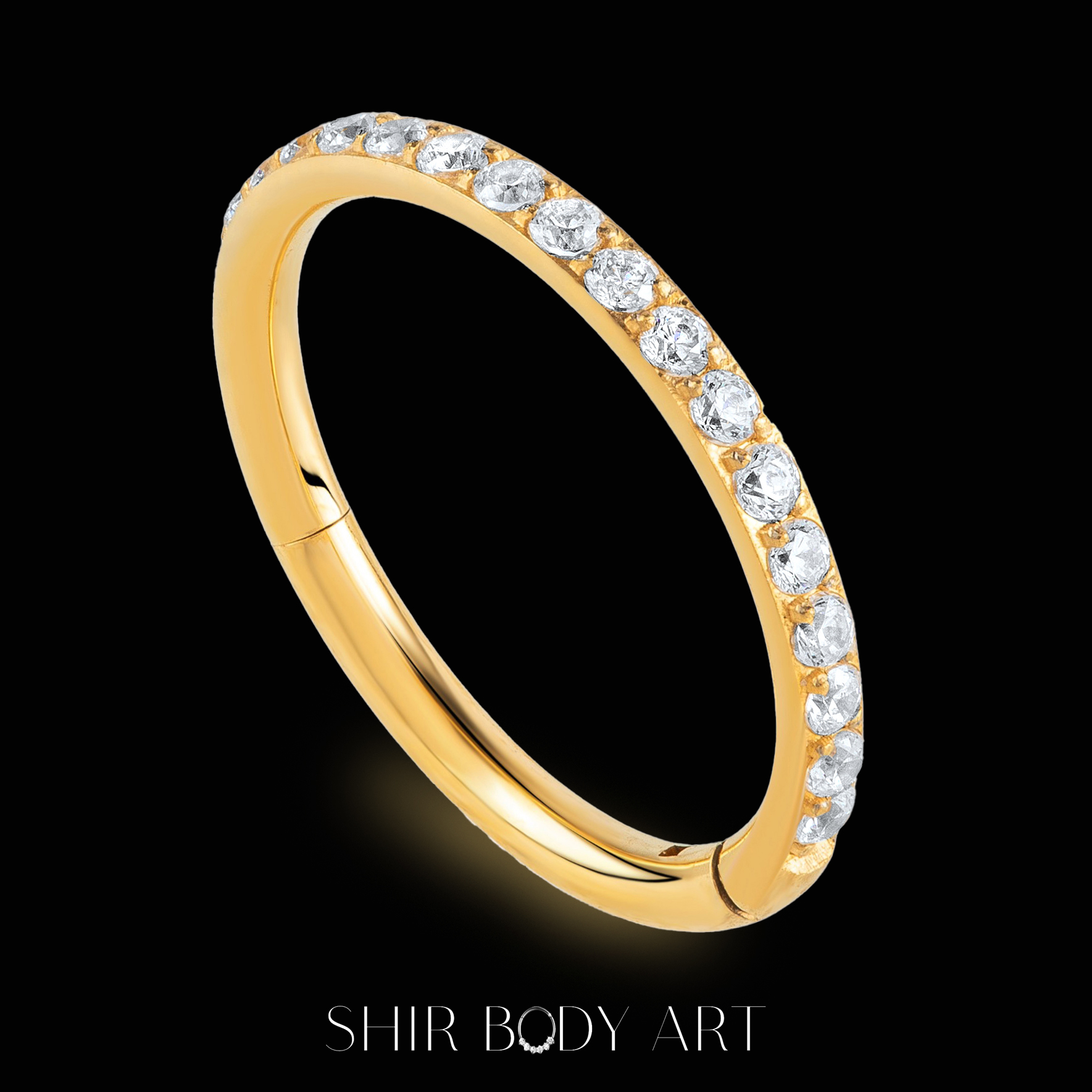 Adele – תמונה 3