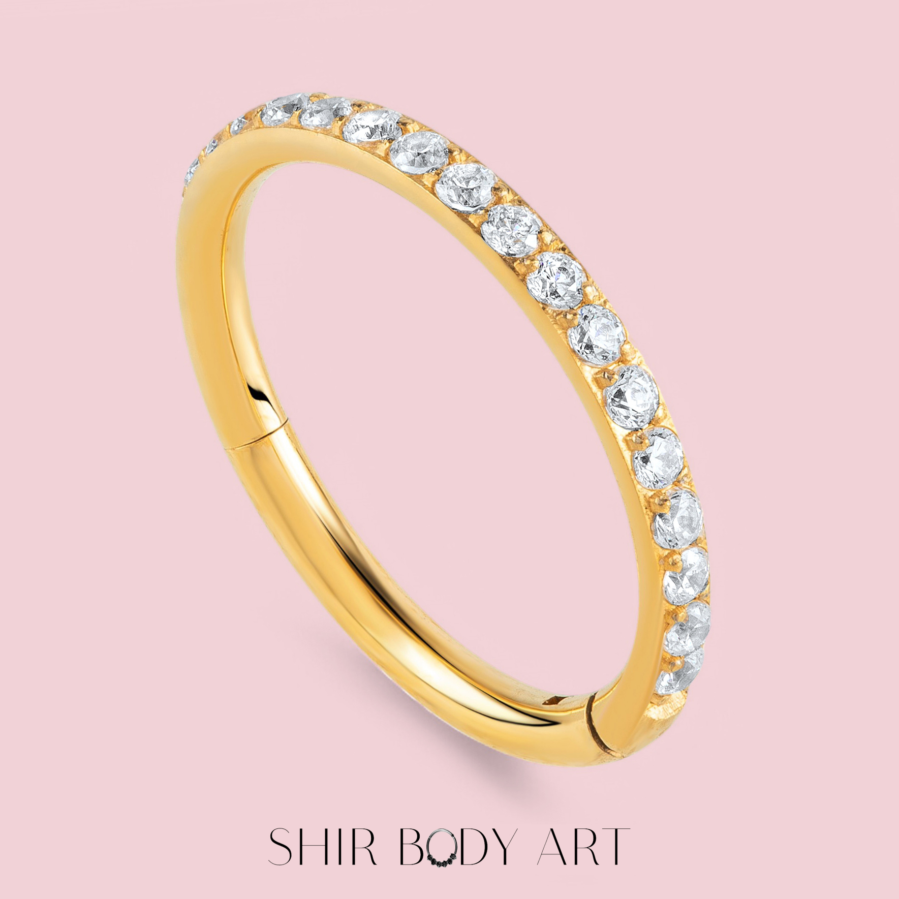 Adele – תמונה 2