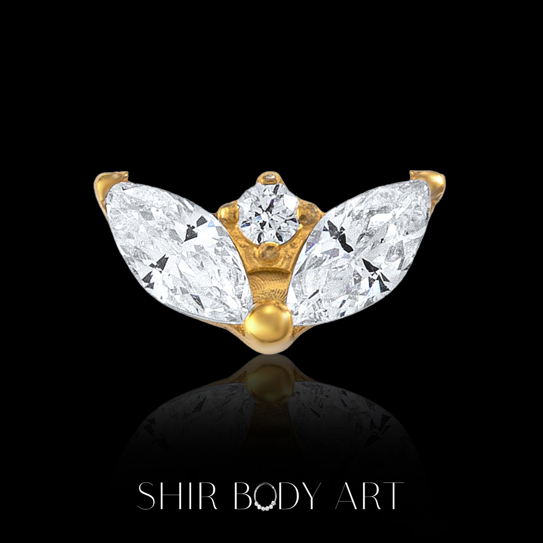 Fairy – תמונה 3