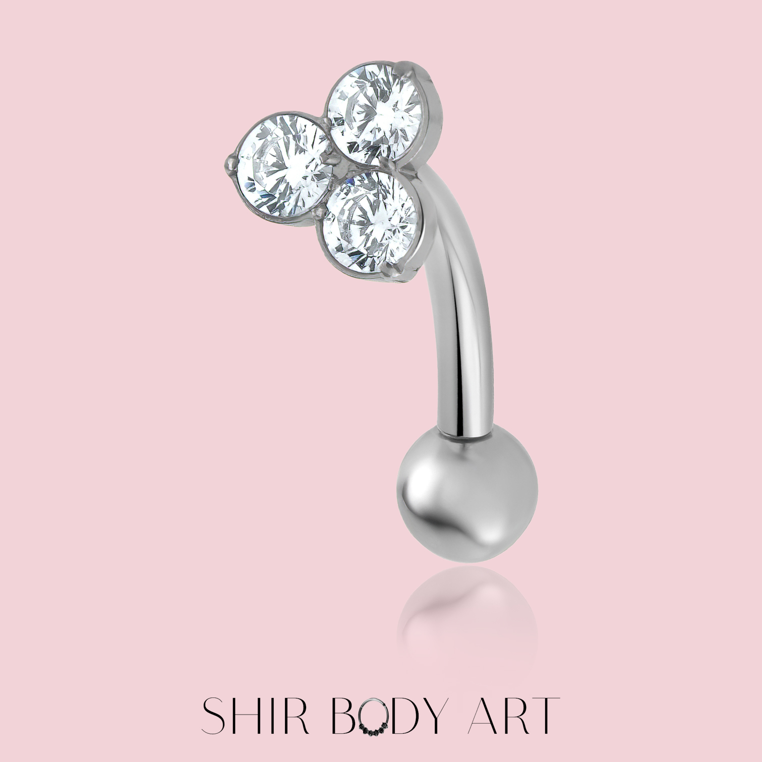 Rose – תמונה 2