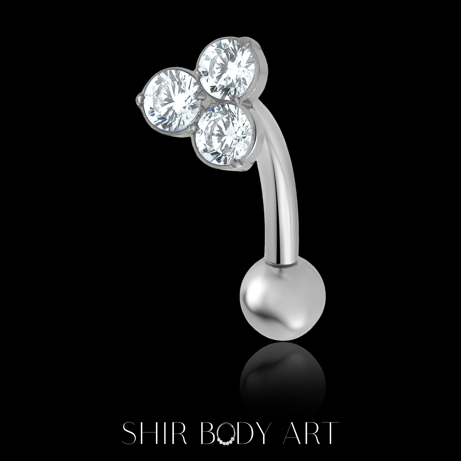 Rose – תמונה 3